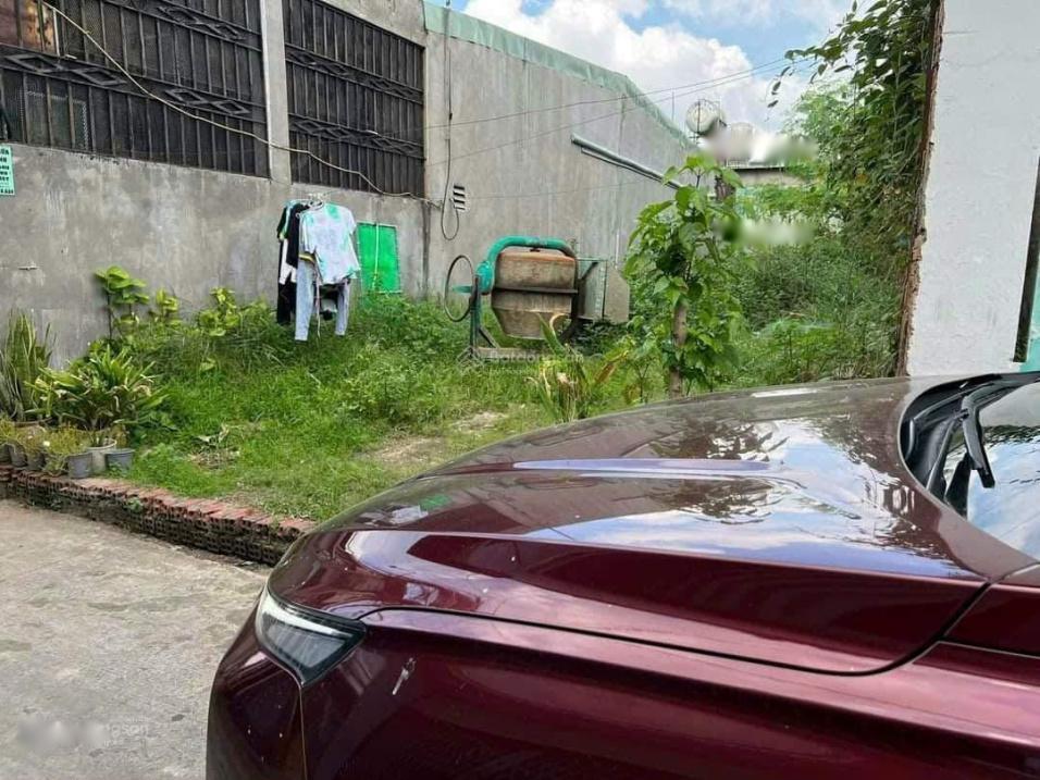 4212464 ảnh đại diện 1