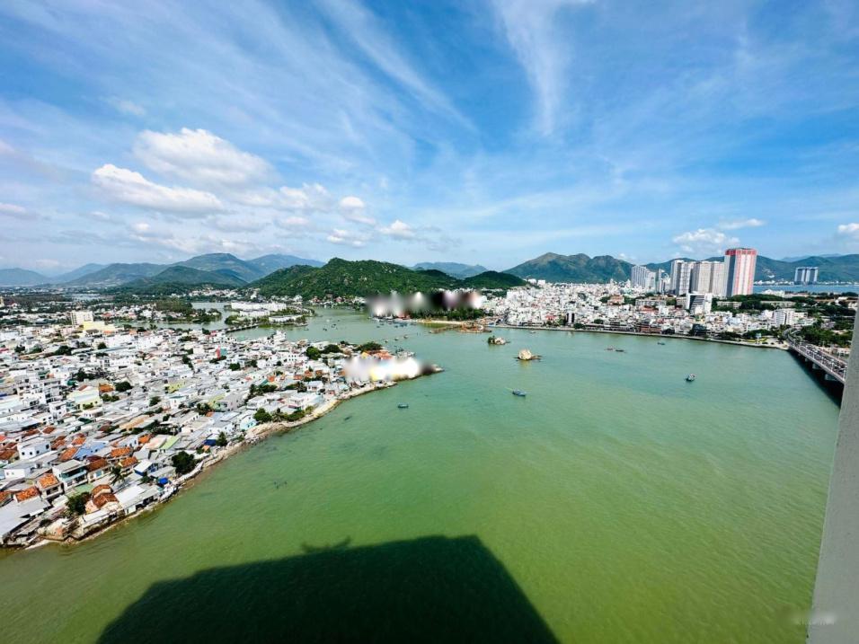 4211408 ảnh đại diện 1