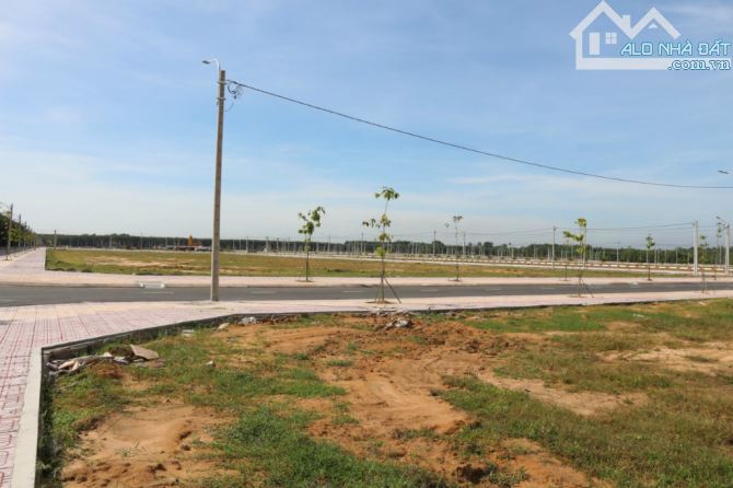 4211947 ảnh đại diện 1