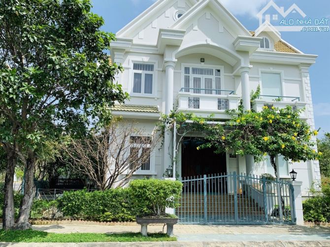 4213452 ảnh đại diện 2