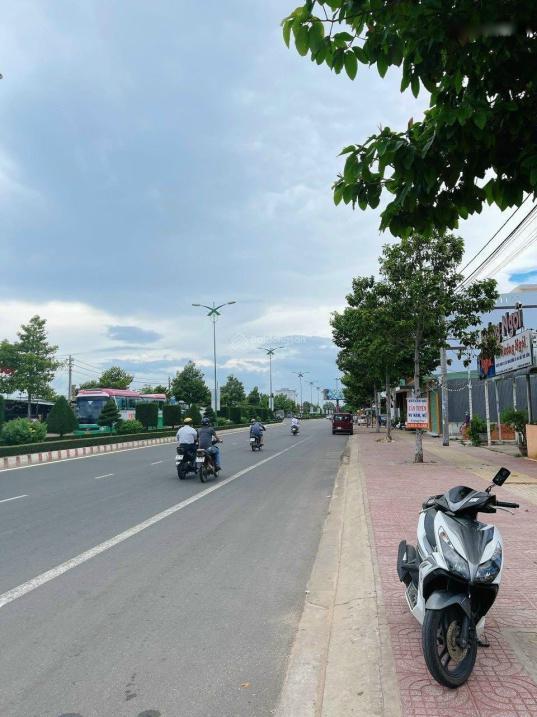 4213676 ảnh đại diện 1