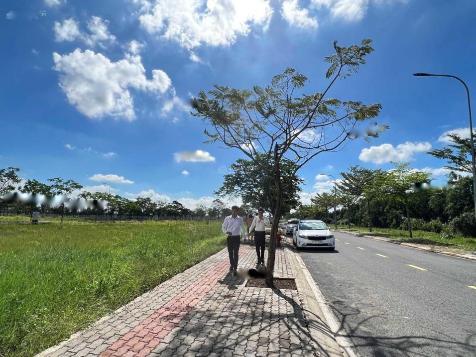 4212788 ảnh đại diện 1