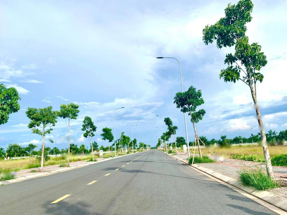 4212781 ảnh đại diện 1