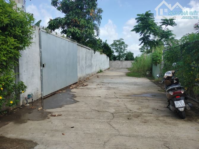 4213556 ảnh đại diện 2