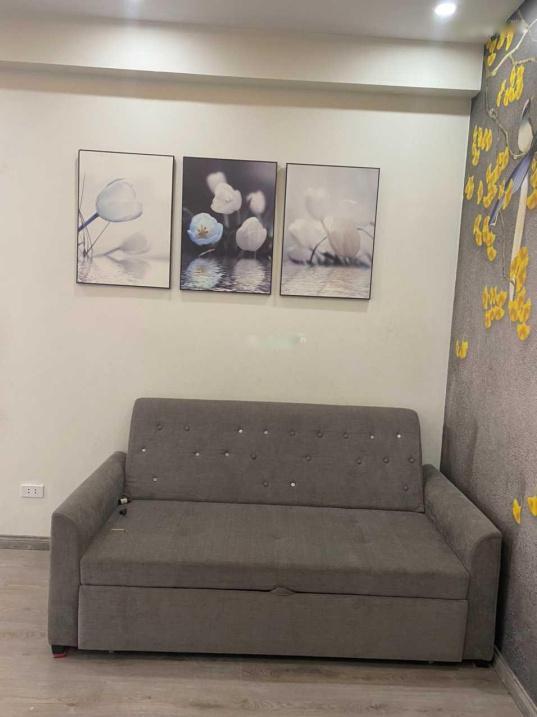 4213623 ảnh đại diện 2