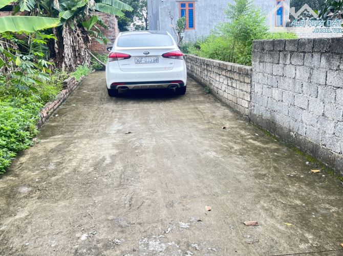 4211627 ảnh đại diện 2