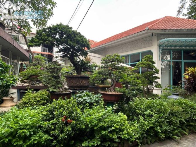 4211104 ảnh đại diện 1