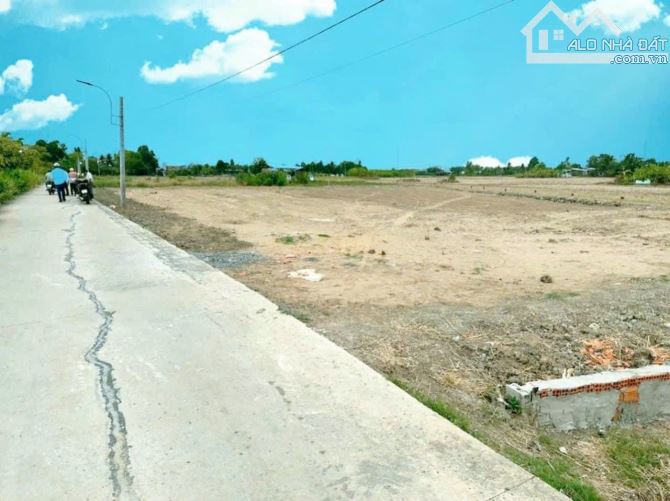 4213281 ảnh đại diện 1