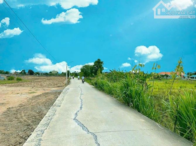 4213281 ảnh đại diện 1