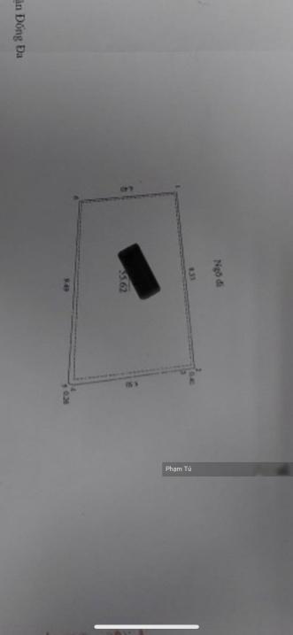 4213872 ảnh đại diện 1