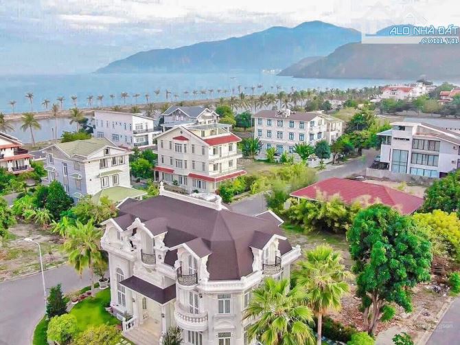 4213452 ảnh đại diện 1