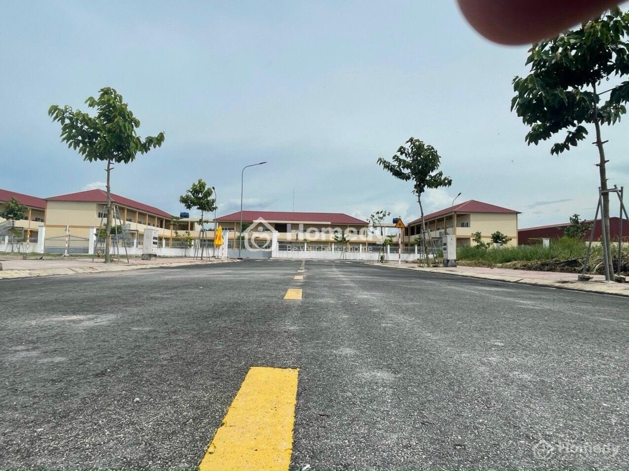 4212939 ảnh đại diện 2