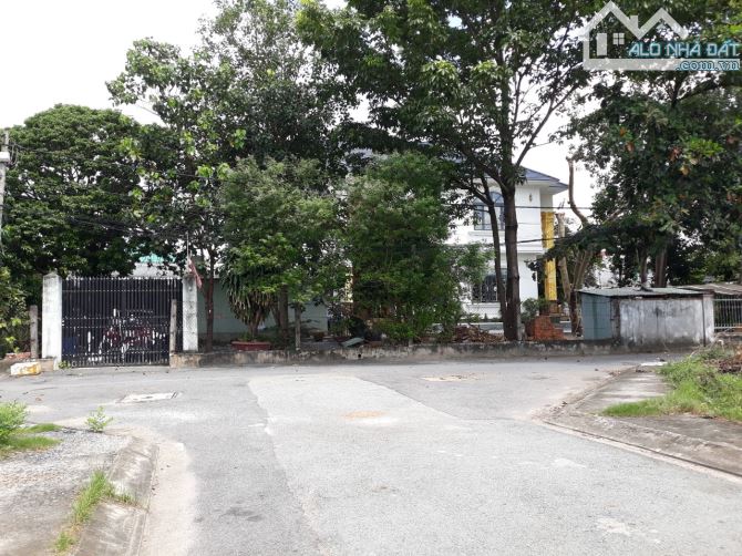4213450 ảnh đại diện 2