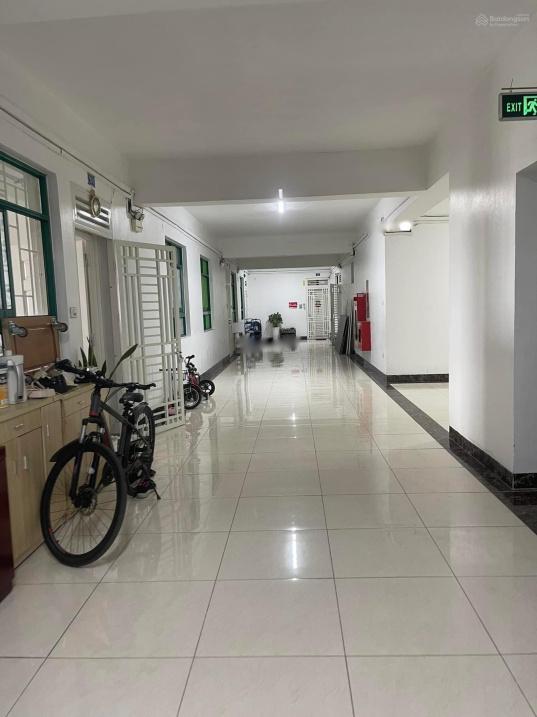 4213626 ảnh đại diện 1