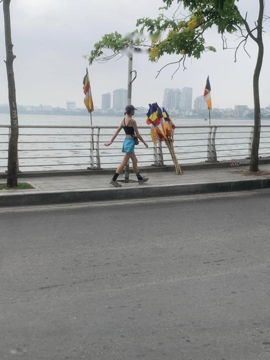 4211694 ảnh đại diện 1