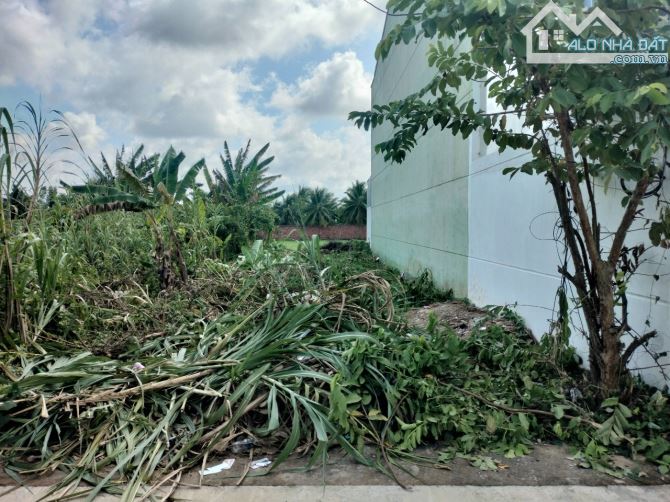 4213556 ảnh đại diện 1