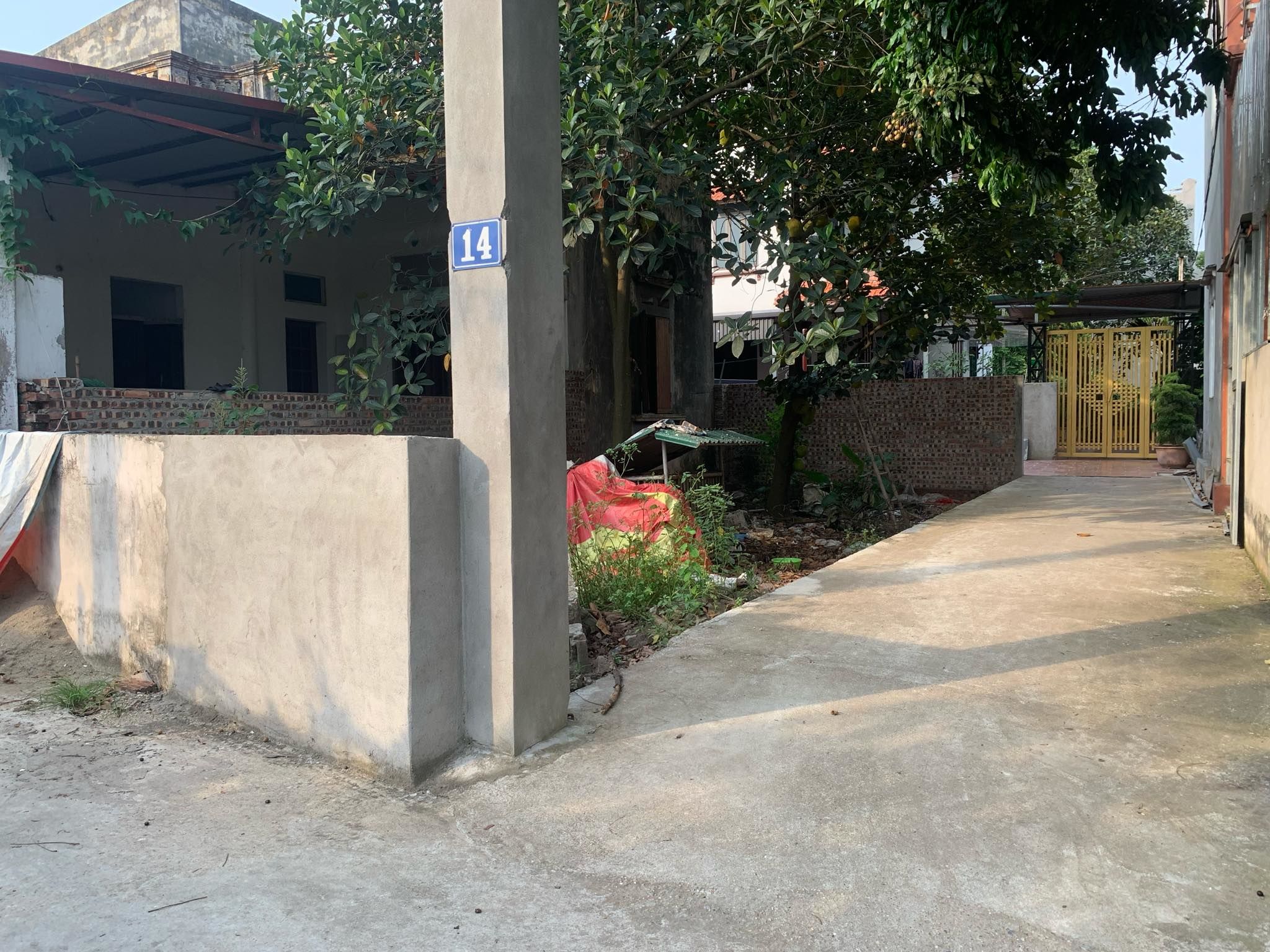 4216923 ảnh đại diện 1