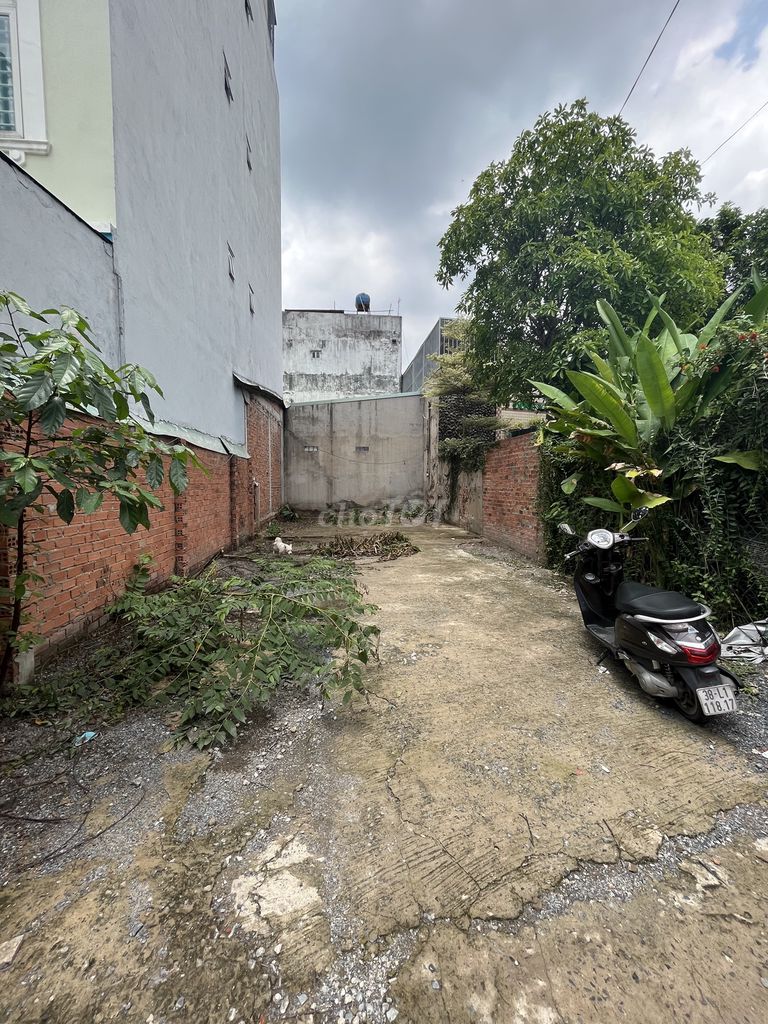 4215660 ảnh đại diện 1