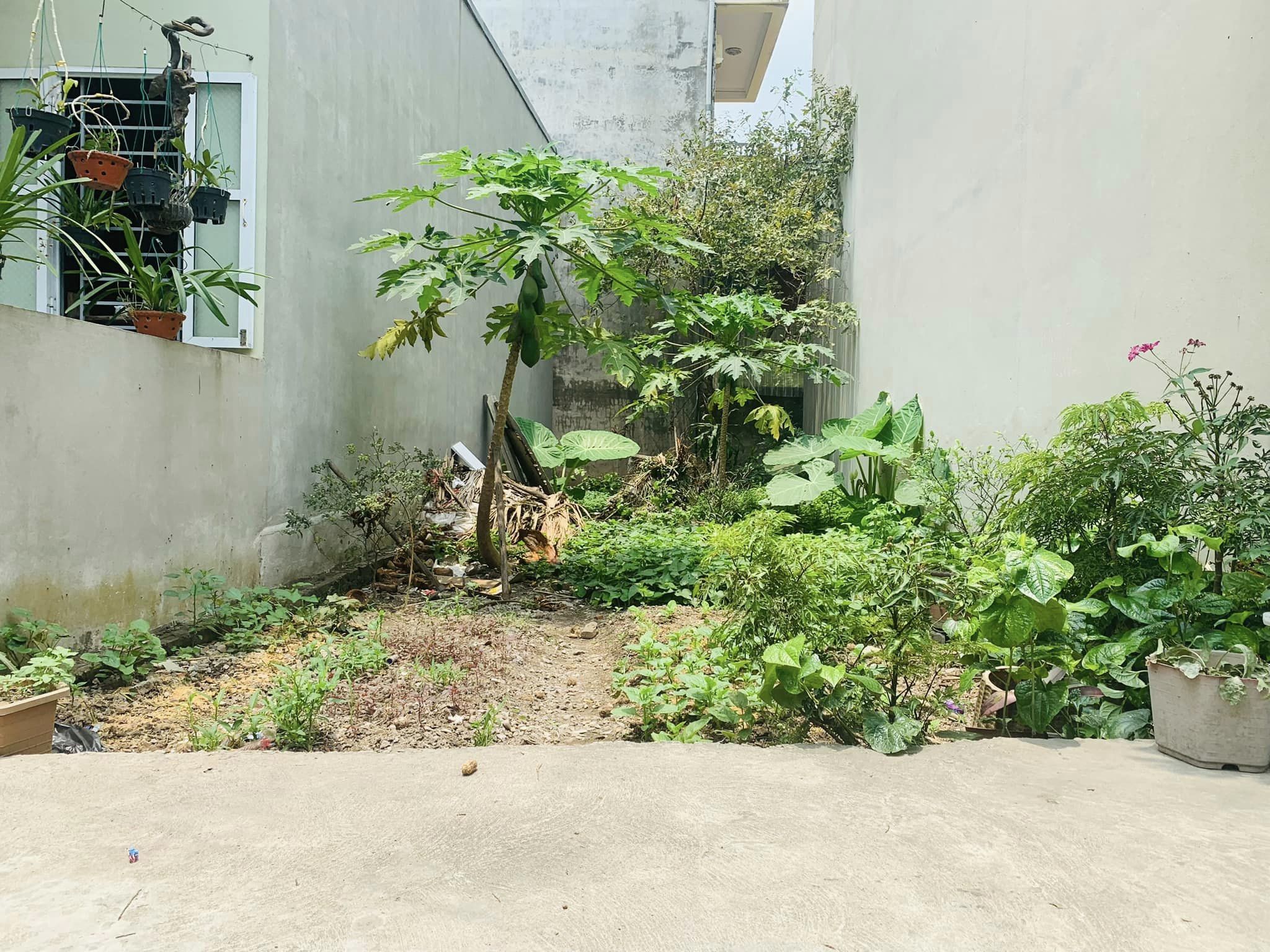 4216916 ảnh đại diện 1