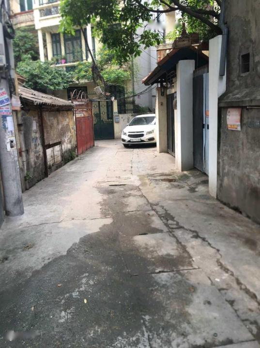 4216356 ảnh đại diện 2