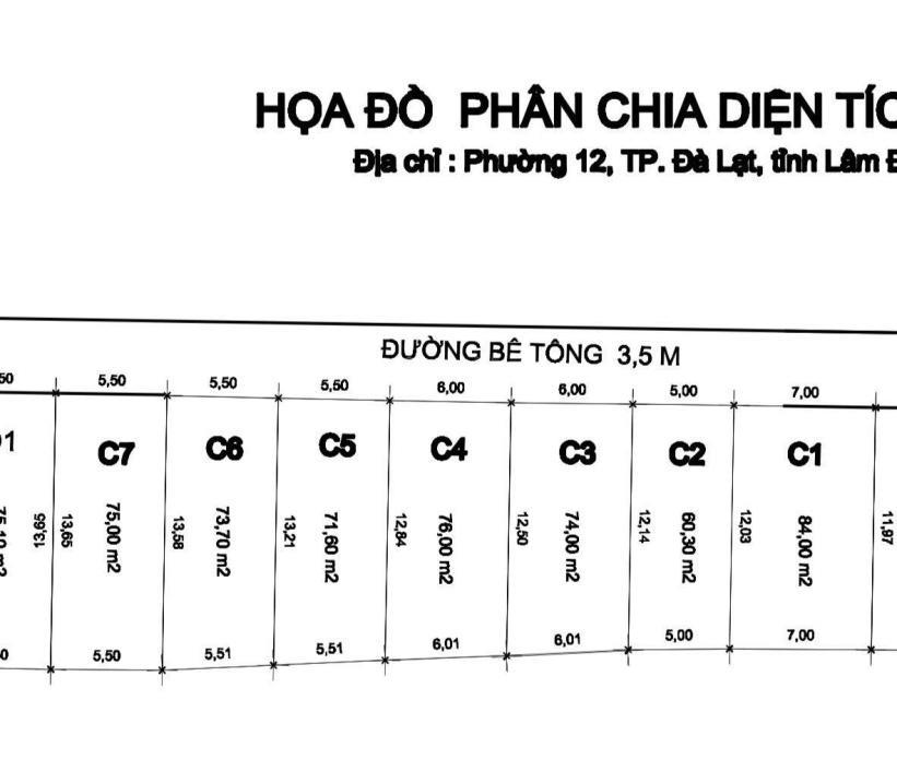4215865 ảnh đại diện 2