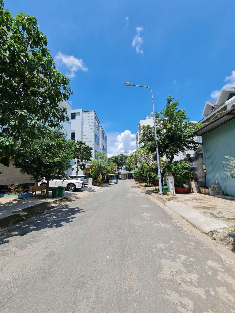 4216006 ảnh đại diện 1