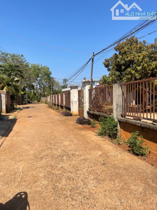 4214963 ảnh đại diện 1
