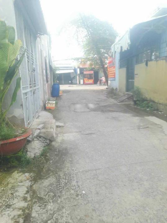 4215693 ảnh đại diện 1