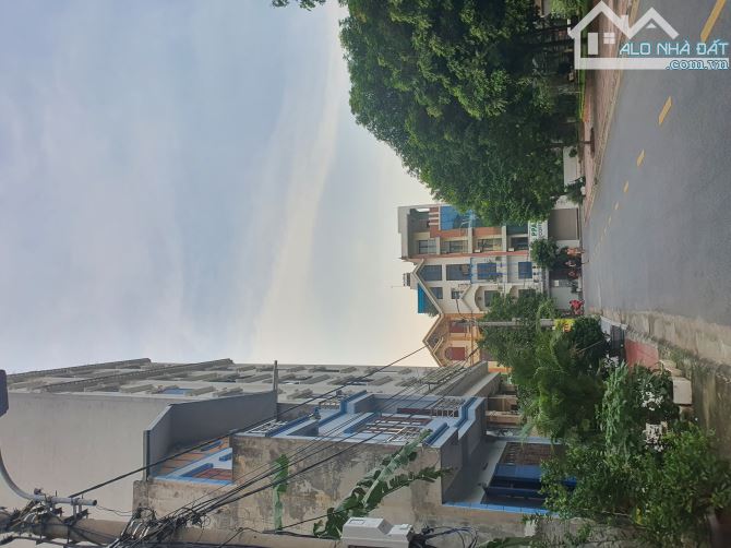4216291 ảnh đại diện 2