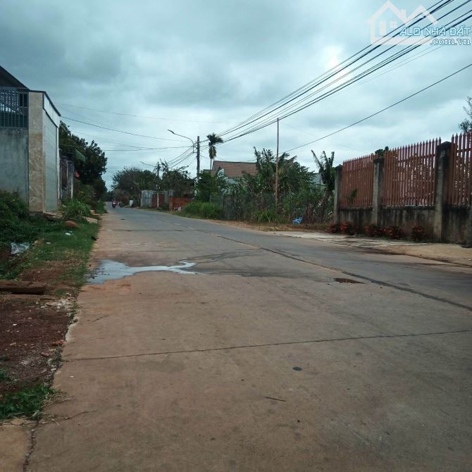 4216848 ảnh đại diện 1