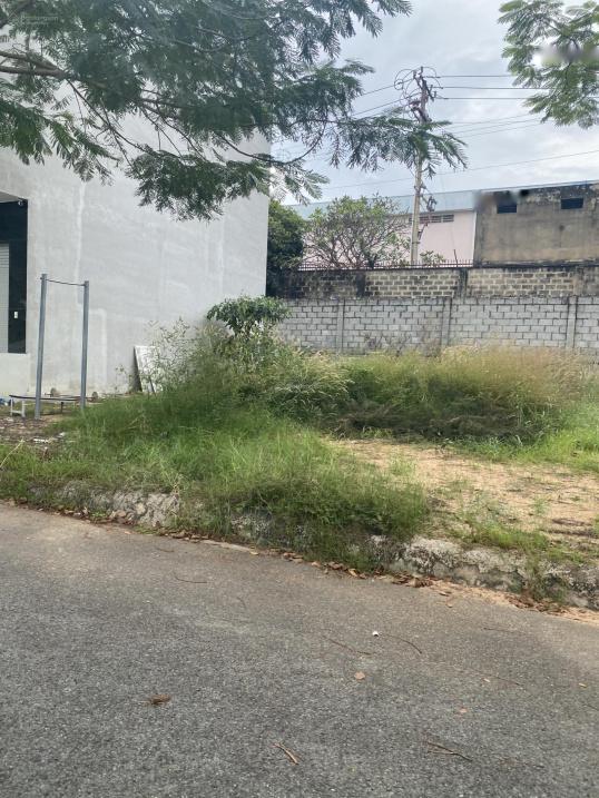 4215706 ảnh đại diện 1