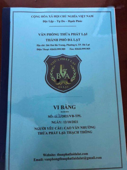 4215864 ảnh đại diện 2