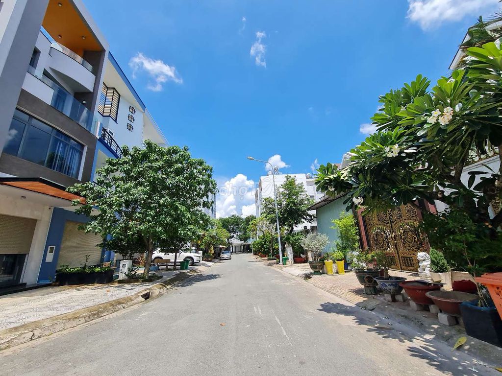 4216006 ảnh đại diện 2