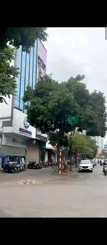 4215027 ảnh đại diện 1