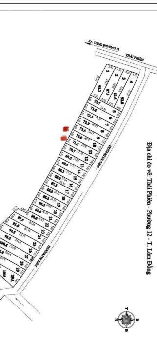 4215864 ảnh đại diện 1