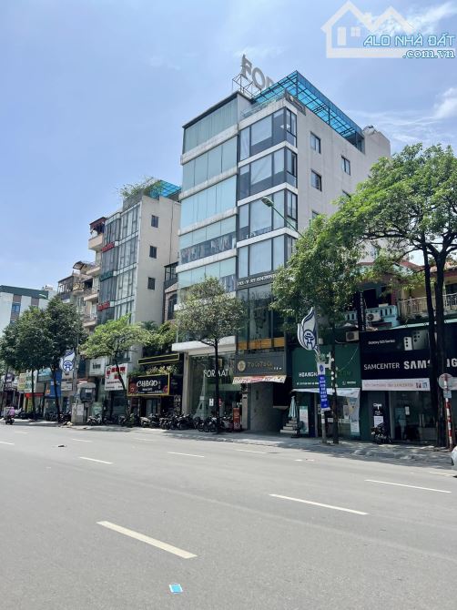 4216808 ảnh đại diện 1