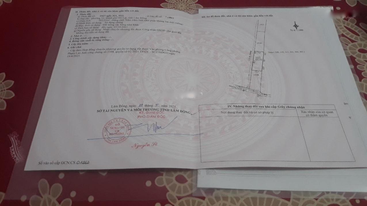 4215865 ảnh đại diện 1