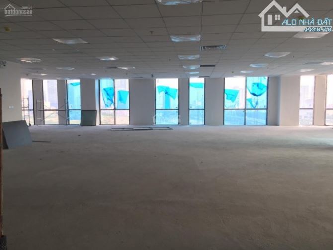 4216492 ảnh đại diện 1