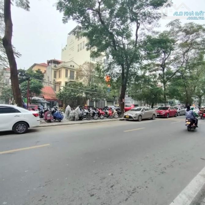 4218565 ảnh đại diện 2