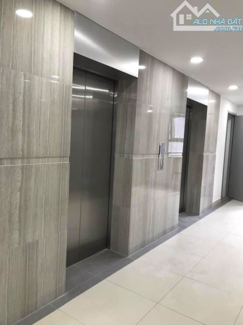 4218861 ảnh đại diện 2
