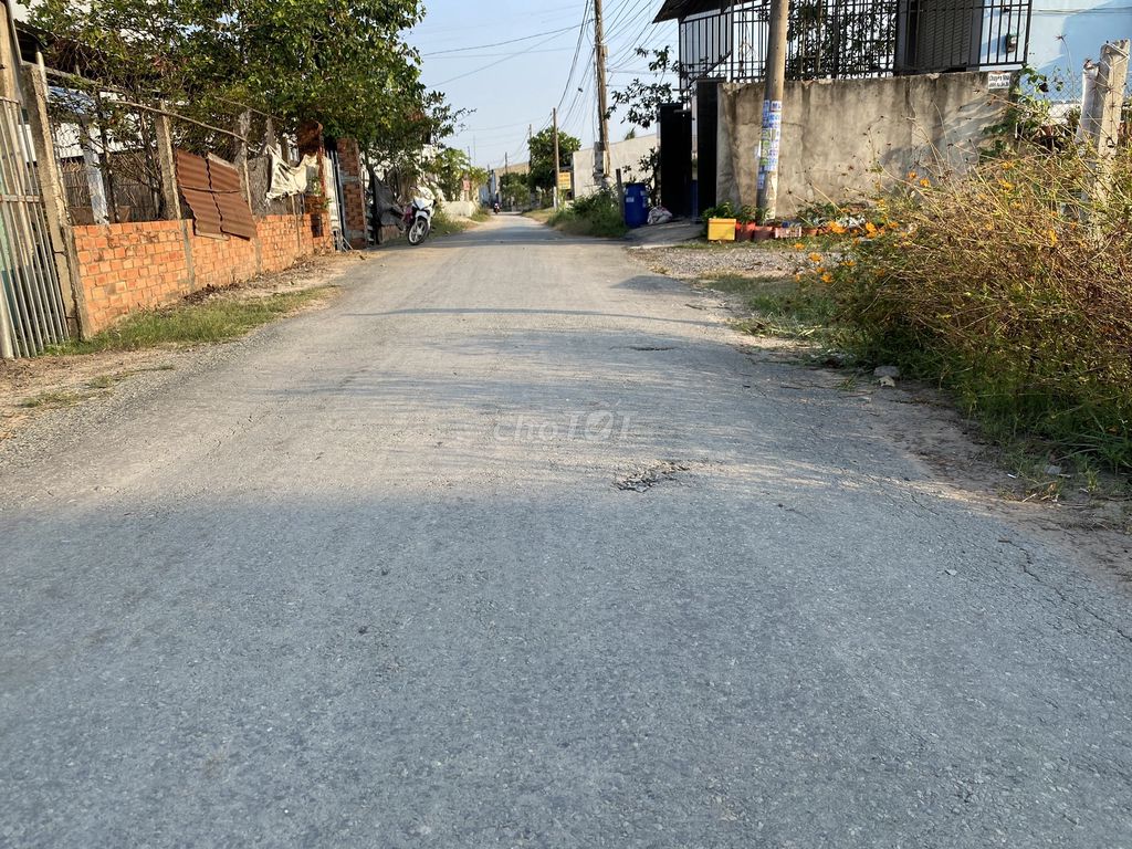 4217600 ảnh đại diện 2