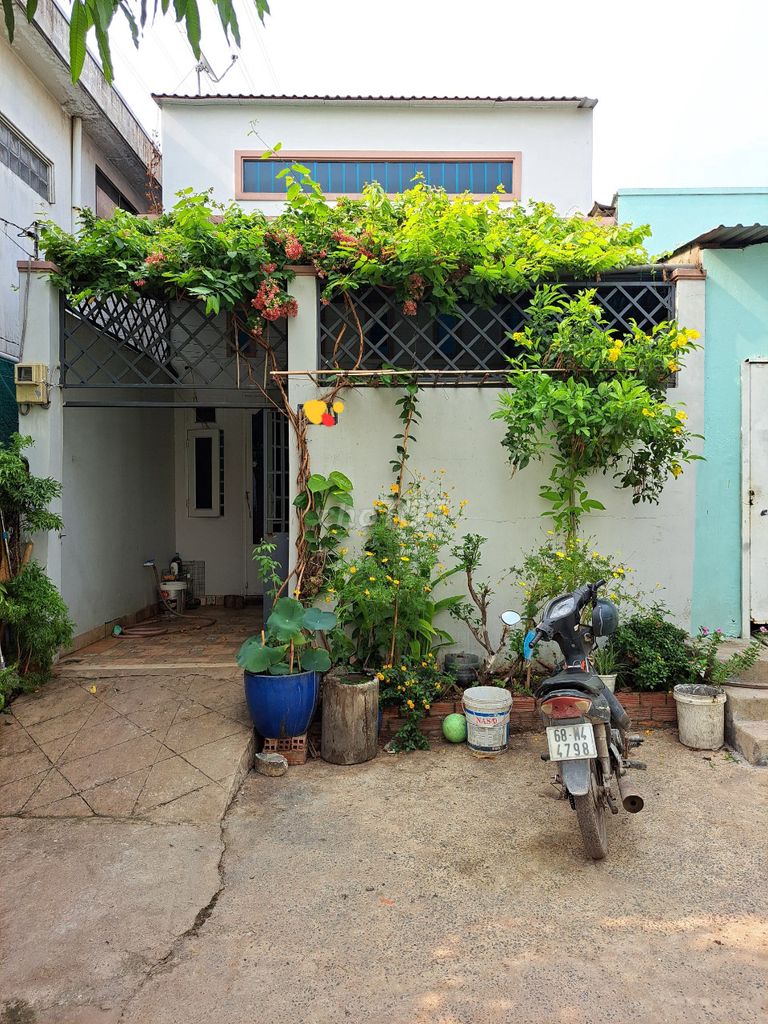 4218317 ảnh đại diện 1