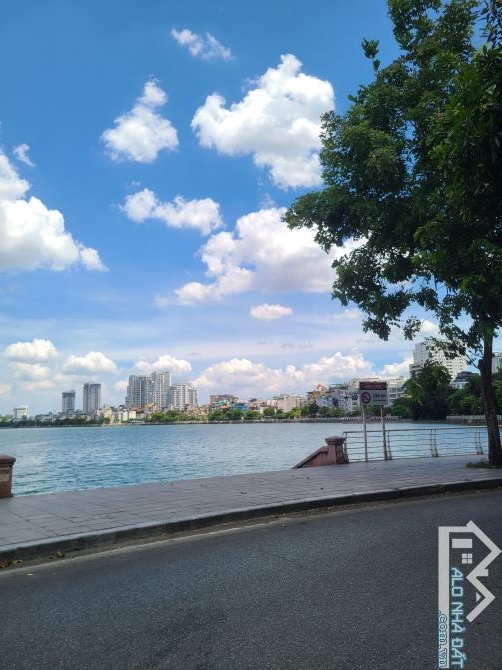 4218571 ảnh đại diện 1