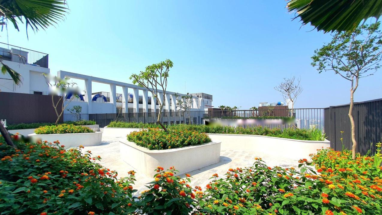 4219062 ảnh đại diện 1