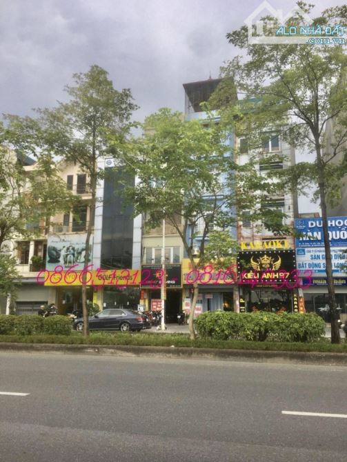 4218528 ảnh đại diện 1