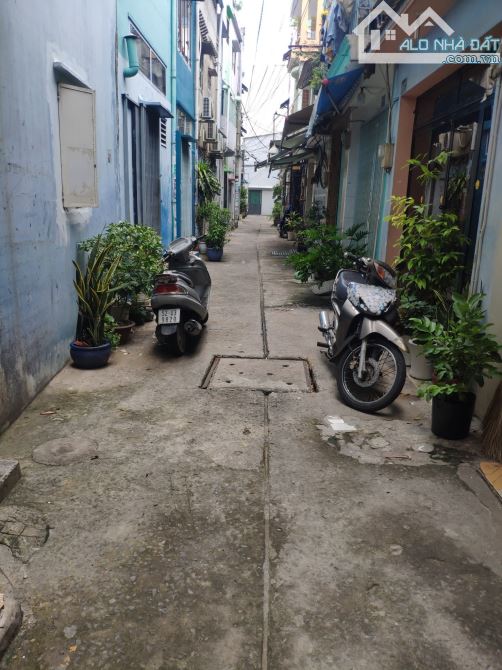 4218522 ảnh đại diện 2