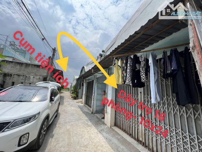 4218299 ảnh đại diện 1