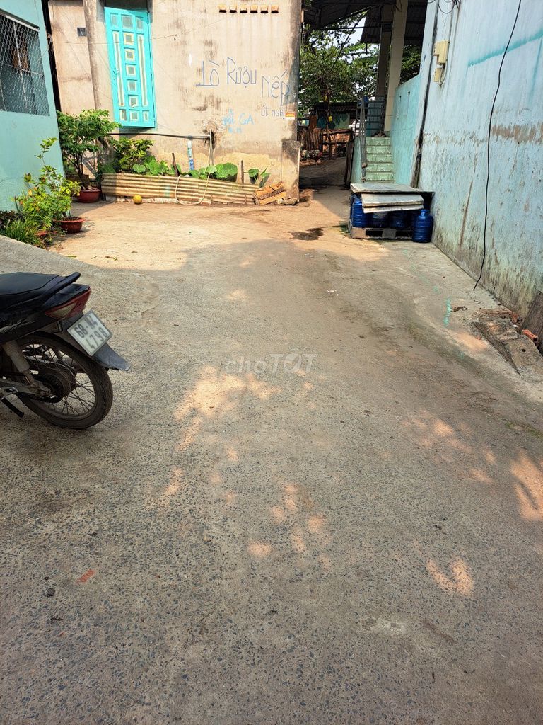 4218317 ảnh đại diện 2