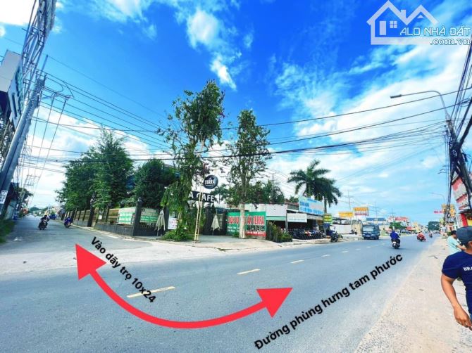 4218299 ảnh đại diện 2