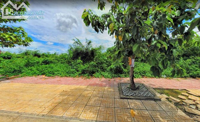 4220893 ảnh đại diện 1